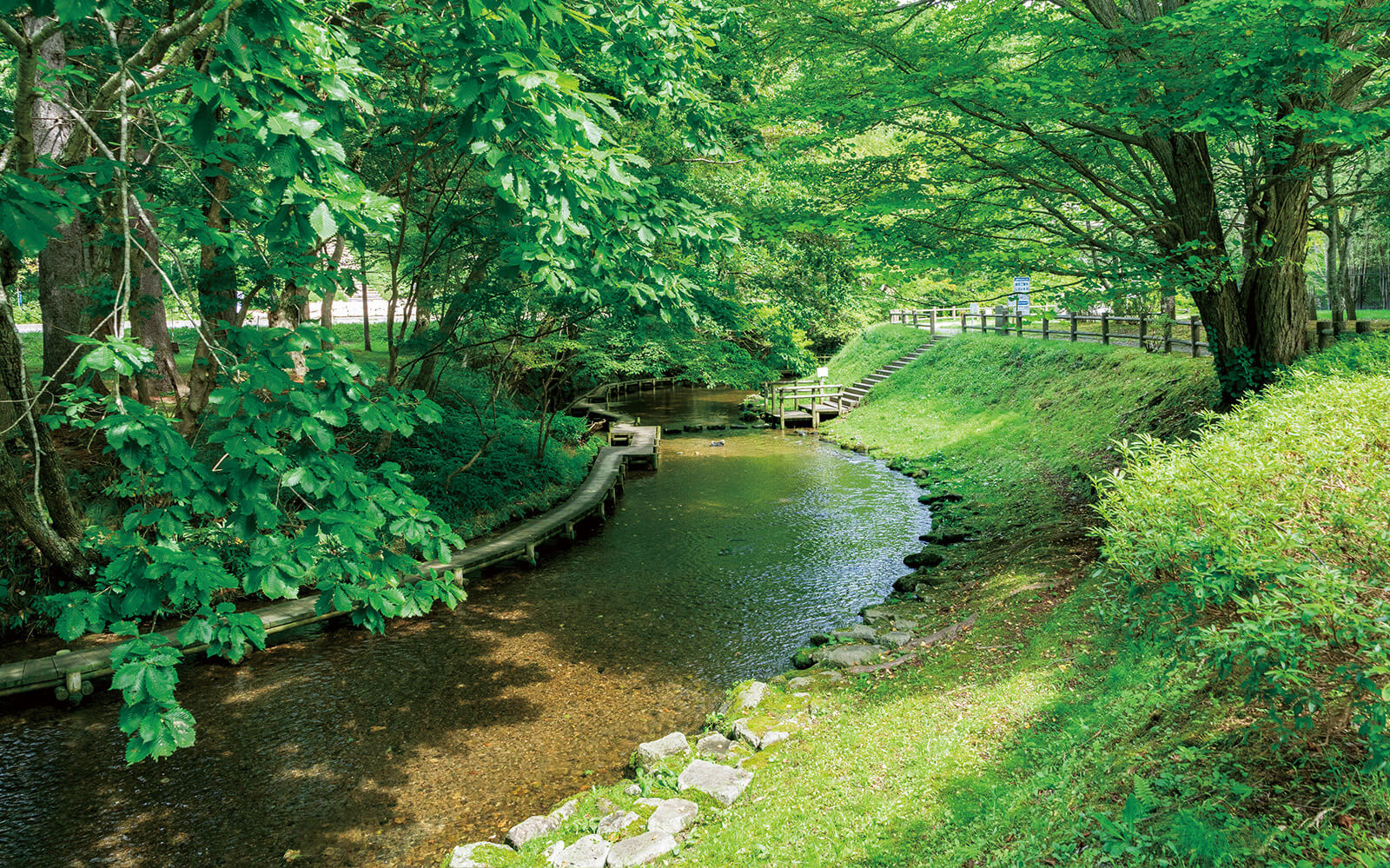 支笏湖周辺エリア