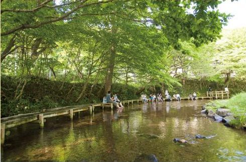 おいしい「⾷」は、美味しい「⽔」からできる