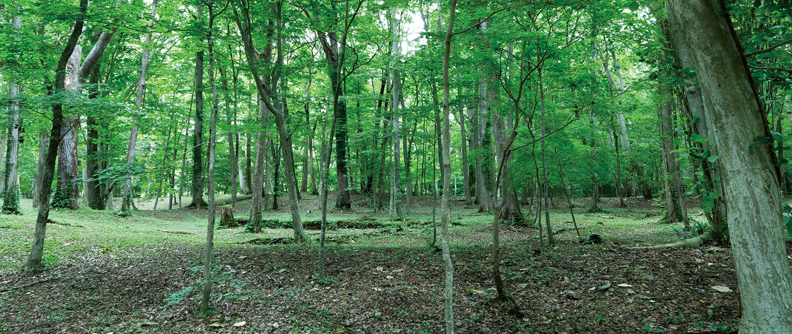 キウス周堤墓群