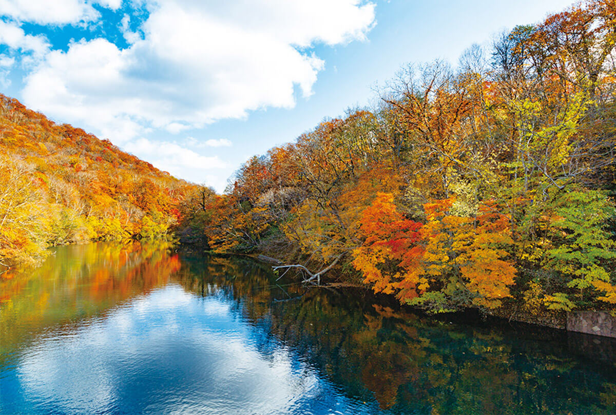 支笏湖の紅葉を楽しむ
