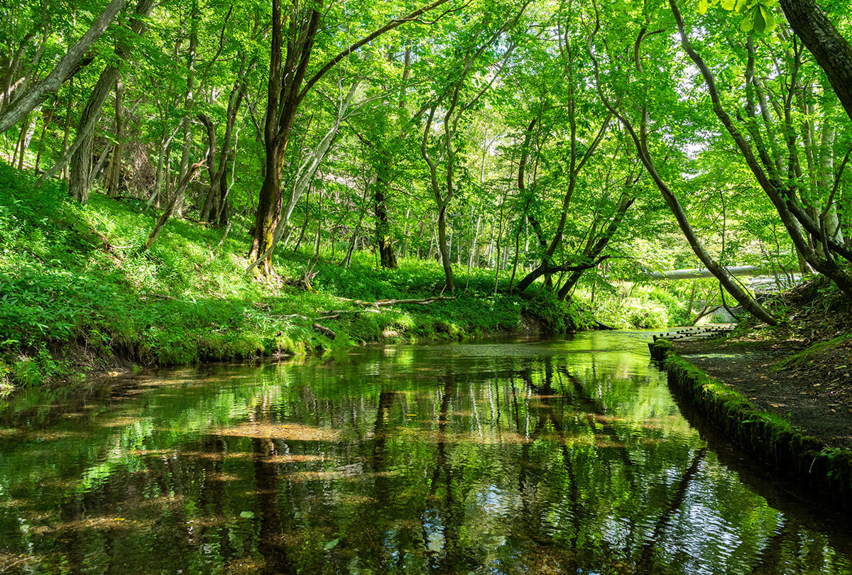 名水ふれあい公園