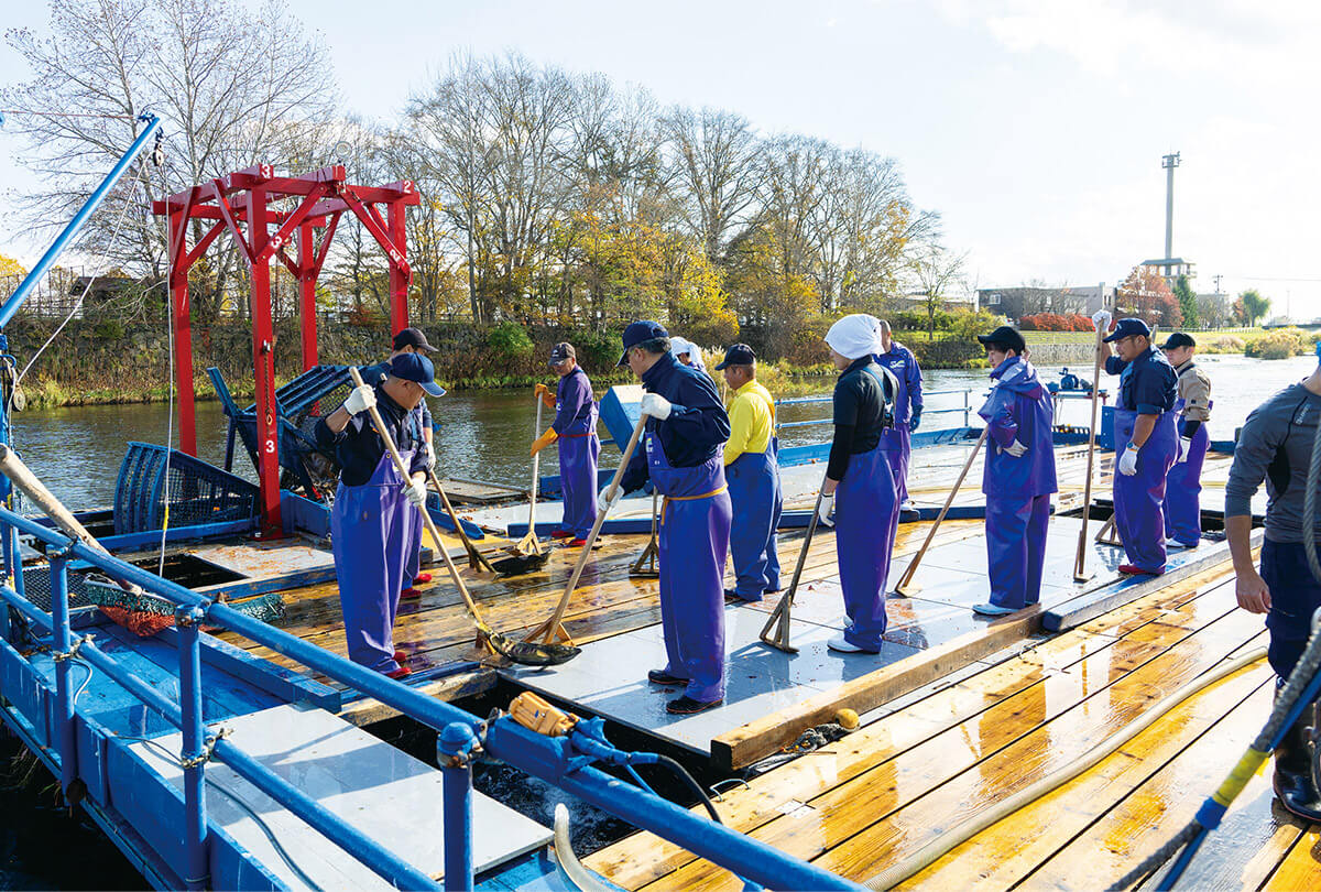 サケのふるさと 千歳水族館