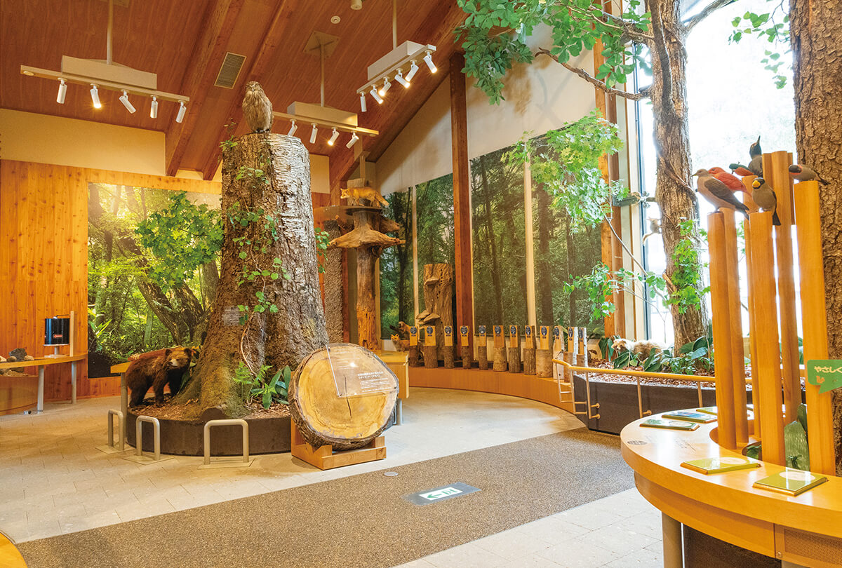 支笏湖ビジターセンター