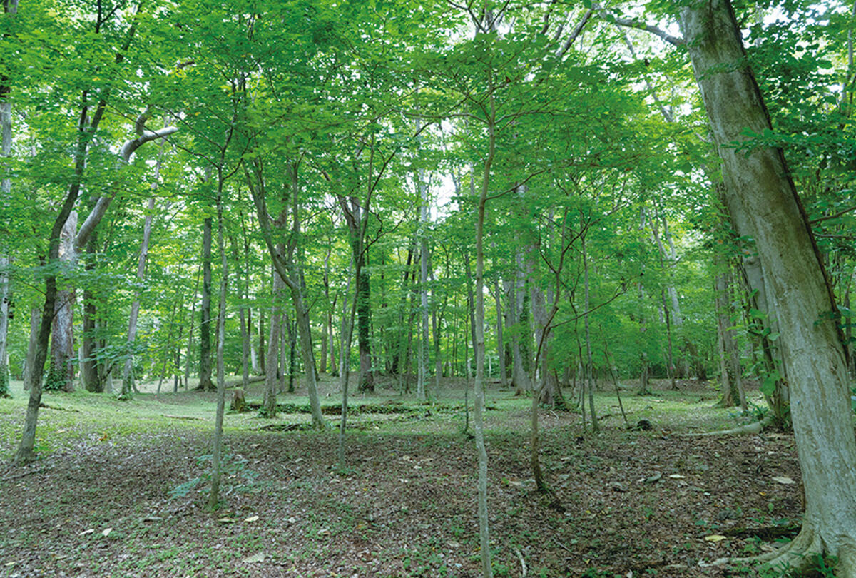 キウス周堤墓群