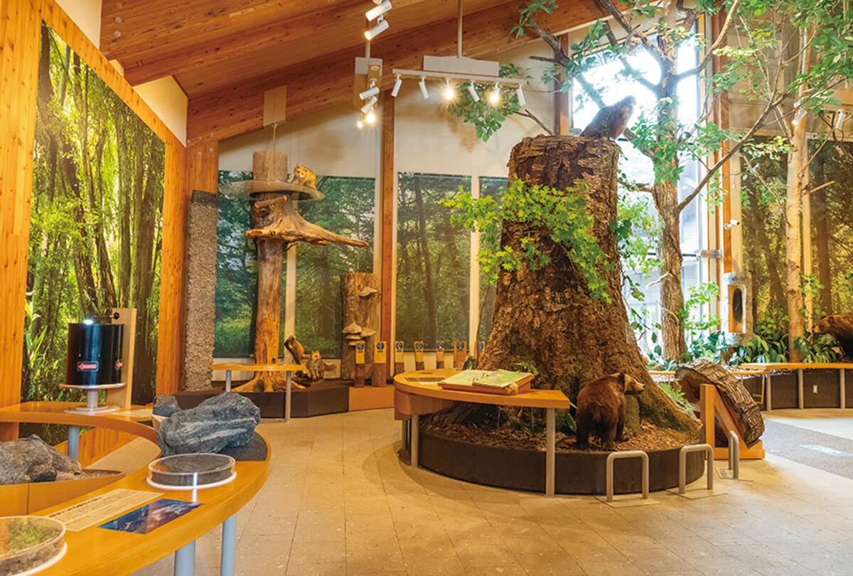 支笏湖ビジターセンター