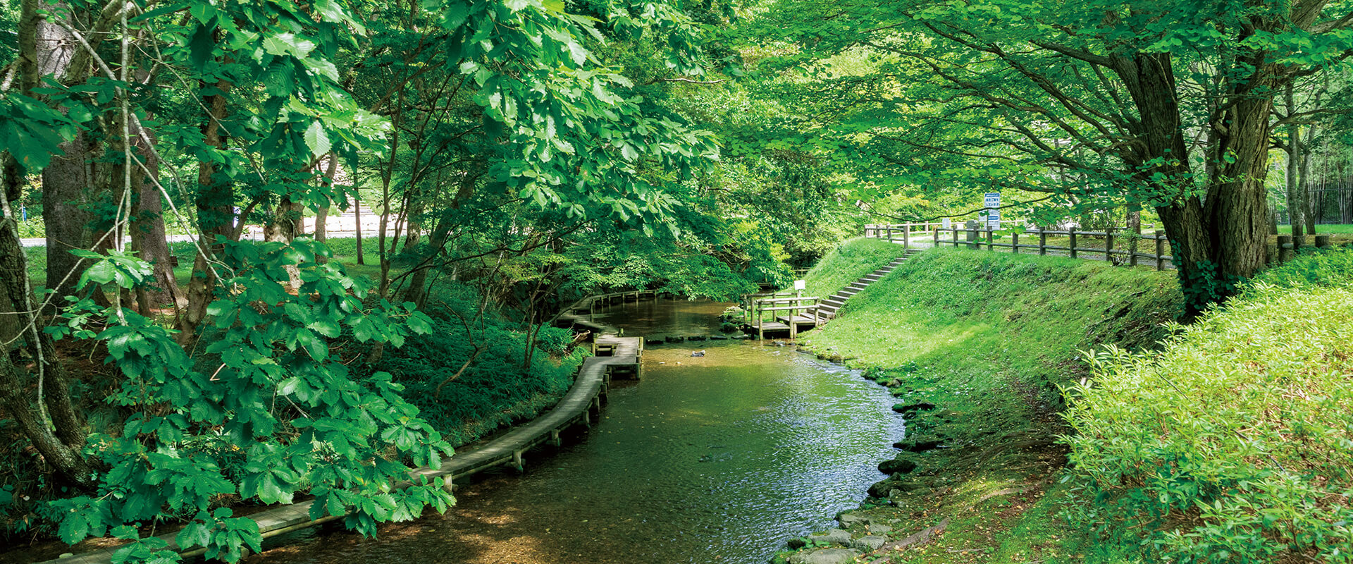 支笏湖周辺エリア