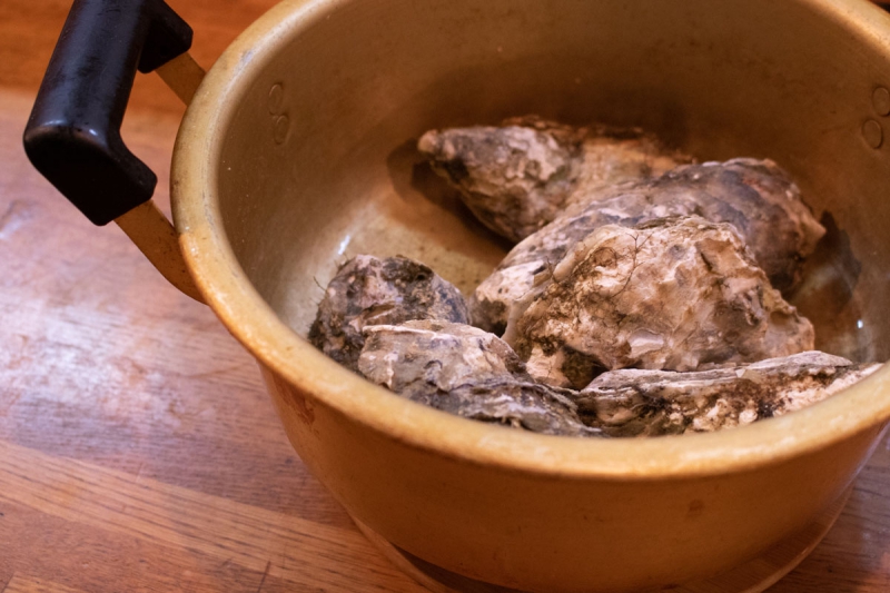 たつのおとしご