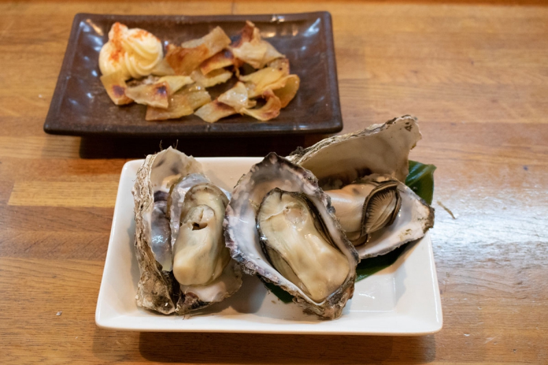 たつのおとしご