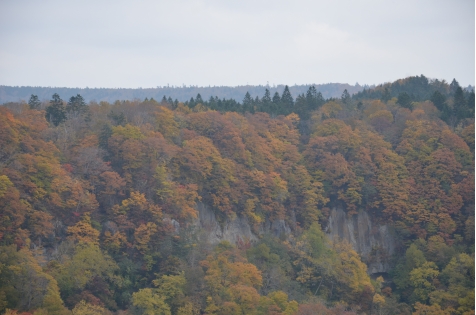 王子製紙株式会社　千歳第一発電所