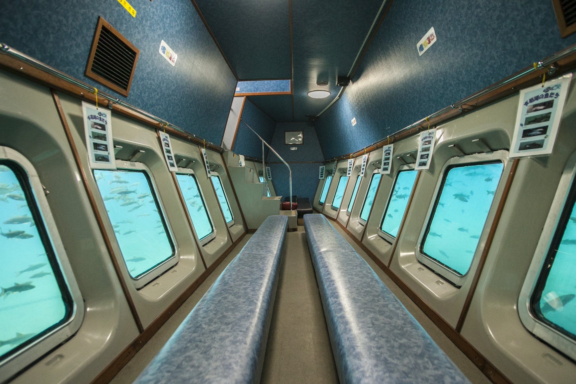 水中観光船