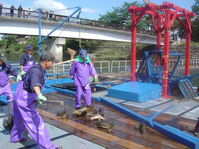 インディアン水車