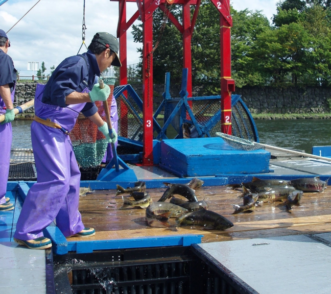 インディアン水車
