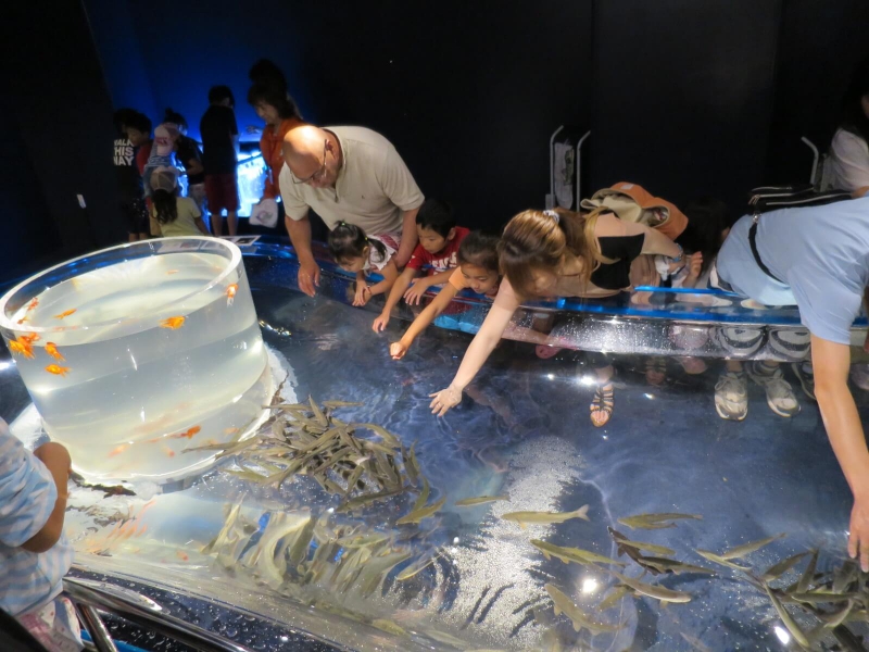 サケのふるさと 千歳水族館