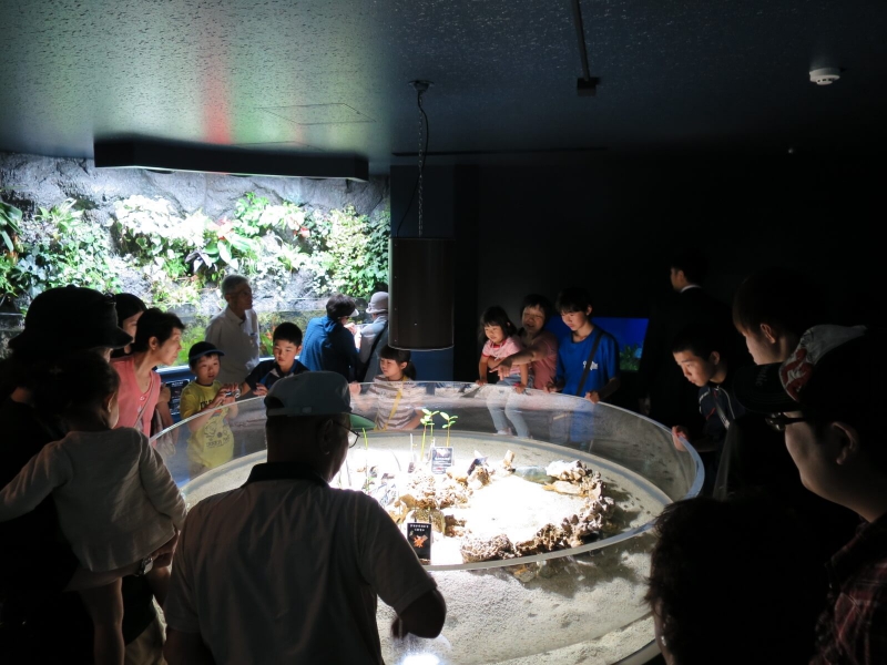 サケのふるさと 千歳水族館