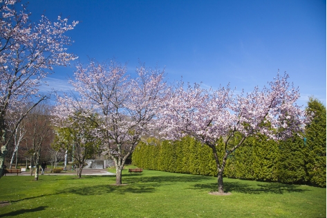 名水ふれあい公園