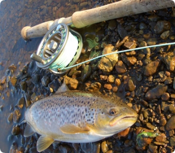 ノースアドベンチャーバンディット