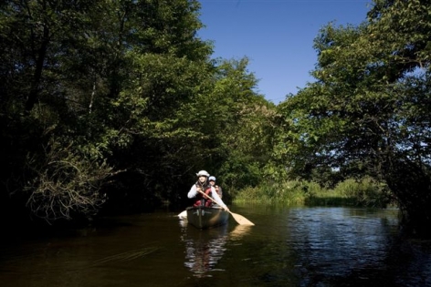 アミューズスポーツ