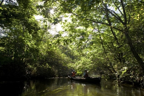 アミューズスポーツ