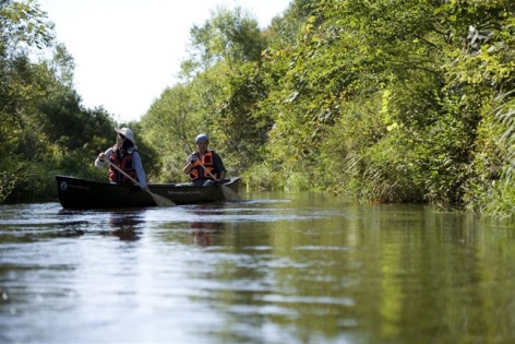 アミューズスポーツ